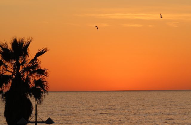 IMG_0075